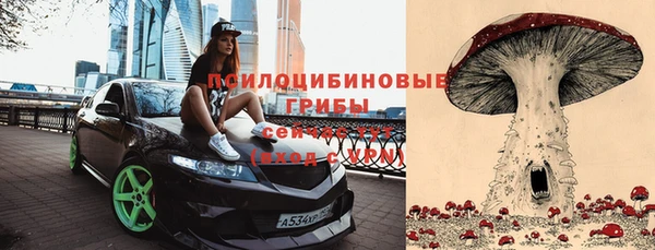 дживик Карталы