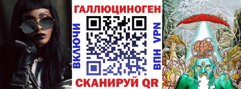 закладка  Ессентукская  Псилоцибиновые грибы Psilocybe 