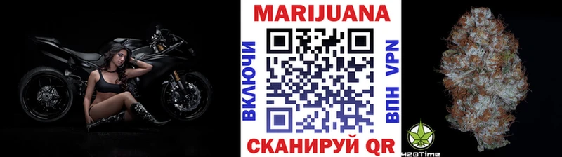 Каннабис семена  Ессентукская 